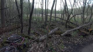 Love Minnesota Biking in the Woods