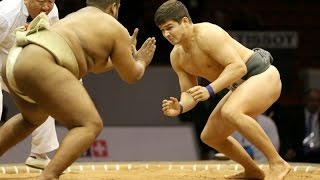 Top 5 best fights Sumo #8 Топ 5 лучших схваток по борьбе сумо.