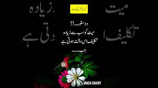 Mayyat ko sb se zyada tklef us waqt hoti hai jab ..||Urdu Quotes||#youtubeshorts #shorts #viral