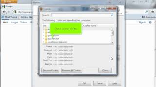FireFox - How to manage cookies in mozilla firefox