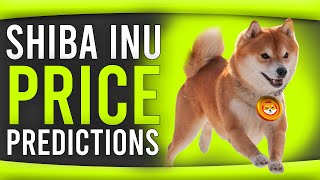 SHIBA INU COIN UPDATE