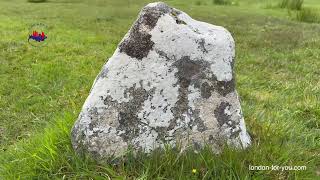 Мегалит Fernworthy Stone Circle