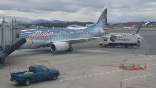 Alaska Airline plane painted like a salmon