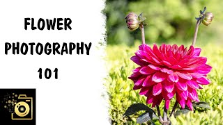 Floral photography 101 - 16 tips and tricks for photographing flowers