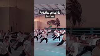 Forma Básica de Kung Fu