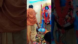 Kali puja || Gopalgonj || youtube shorts