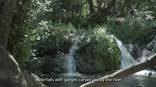 Sierra Norte de Sevilla, un paraíso para los sentidos