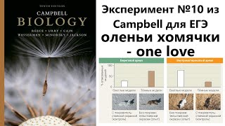 Эксперимент №10 из Campbell для ЕГЭ - оленьи хомячки one love