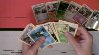 Forces of Nature: Collection Box Opening!