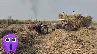 Messay 375 exhale the loaded sugarcane trali with the help of Fiat tractor stunt