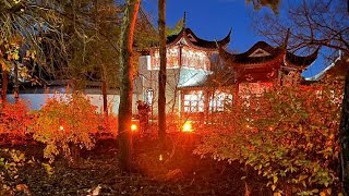 Inside View of the Montreal Botanical Garden's Dazzling Light&Lantern Festival |Chinese lantern|2022