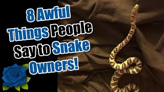 8 awful things people say to snake owners