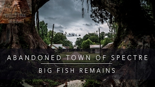 ABANDONED TOWN OF SPECTRE - Big Fish Remains