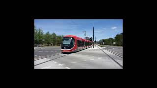 The Canberra Light Railway #shorts #trams #lightrail #lightrailtransit