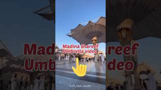 Madina umbrella Close video New islamic video #viral #islamic #trending