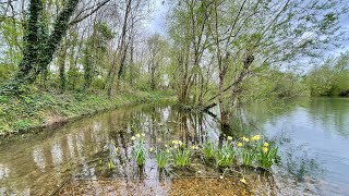 Hucklesbrook flooding update