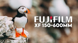 I'VE DREAMED OF THIS TRIP! - FUJIFILM 150-600MM REVIEW