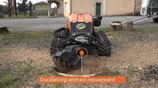 RoboEVO | STUMP GRINDER | Wood | Energreen | EN