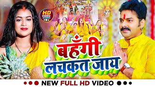 #LIVE 🔴 छठ पूजा गीत 2024 | पारम्परिक Chhath Geet | Bhojpuri Chhath Geet 2024 | Chhath Puja Song