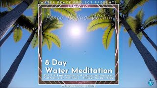 AUG 14 Day 3 of 8 Day Water Meditation & Consciousness Experiment Featuring Plant Music