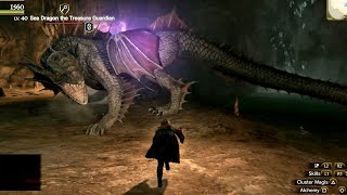 Dragon's Dogma Online Sea Dragon