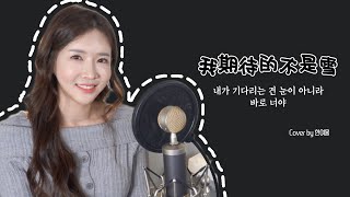 내가 기다린 건 눈이 아니라 바로 너야 《我期待的不是雪》┃Cover by  여우리(蔚蔚, weiwei)