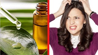 Effective Home Remedies To Get Rid Of Lice | Health Tips