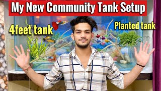 My New Community Tank Setup | My 4 Feet tank setup | Monster fish tank | planted Community tank