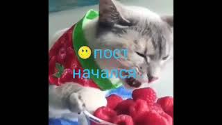 Пост началсЯ!