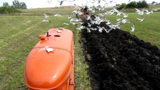 Allis Chalmers RC, WD, and ONE EIGHTY plowing