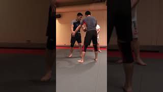 Wrestling lesson: Arm drag