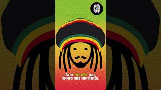 Diseñan tu nombre con estilo reggae