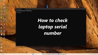 How to check laptop serial number