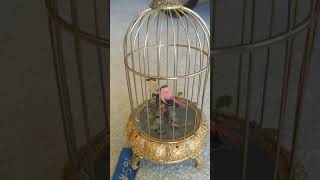 Elpa Automaton Singing Bird Cage Reagan Watson Auctions Lot 165A