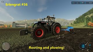 FS22 | XL SUGAR BEET HARVEST! [Part 3!] | ERLENGRAT #36 | Alpine Dairy Farm