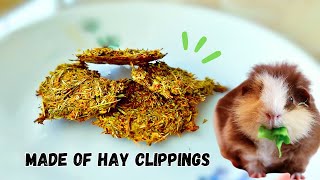 The Easiest Treat for Guinea Pigs - Hay Clipping Cookies!