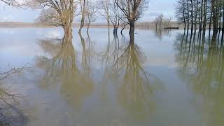 Lonjsko polje Mužilovčica 26.12 .2019 II dio