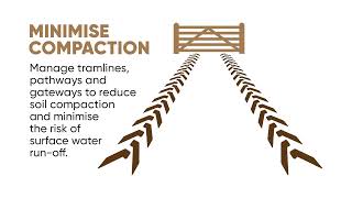 Water stewardship best practice in oilseed rape