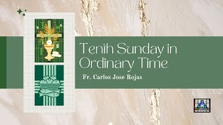 Homily - Tenth Sunday in Ordinary Time