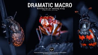 DRAMATIC Macro Professional Editing Lightroom | Dark Macro Photo Editing Lightroom Tutorial