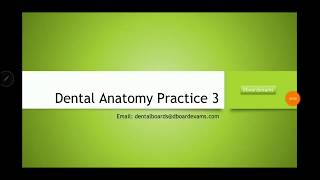 Dental Anatomy Practice 3 INBDE