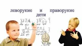 Леворукие и праворукие дети: мифы и факты