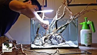 Stay Home and Aquascaping - Lowtech | Moss Only | MCO里开的缸