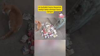 Eldiven hırsızı kedinin büyük sırrı