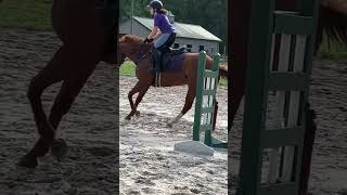 Fun jumping with Zoey #zoey #horseriding