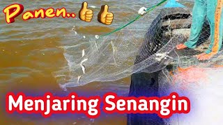 Menjaring Ikan Senangin Di Laut || Fishing Nets Indian Salmon. Tanjung Leidong.