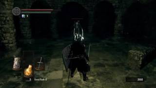 Dark Souls Blind - Day 5 (4/29/17)