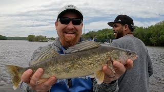 Mississippi River Pool 3 Walleye and Sauger