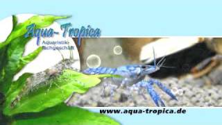 Aqua-Tropica Nürnberg - Das Original