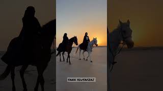 New Islamic Whatsapp Status 2023|Hijab Girl Horse Rider Status